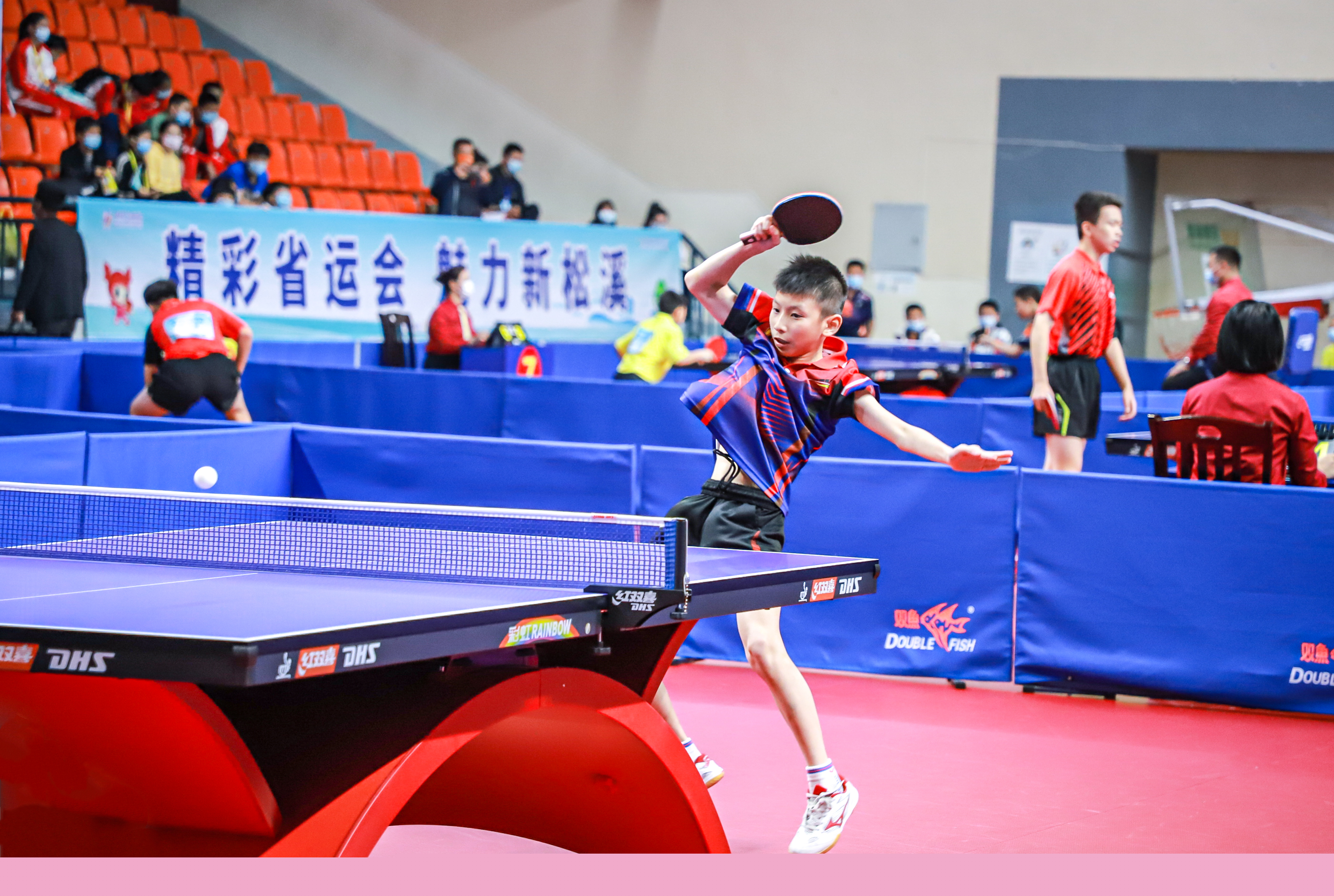 的康复情况 的康复情况