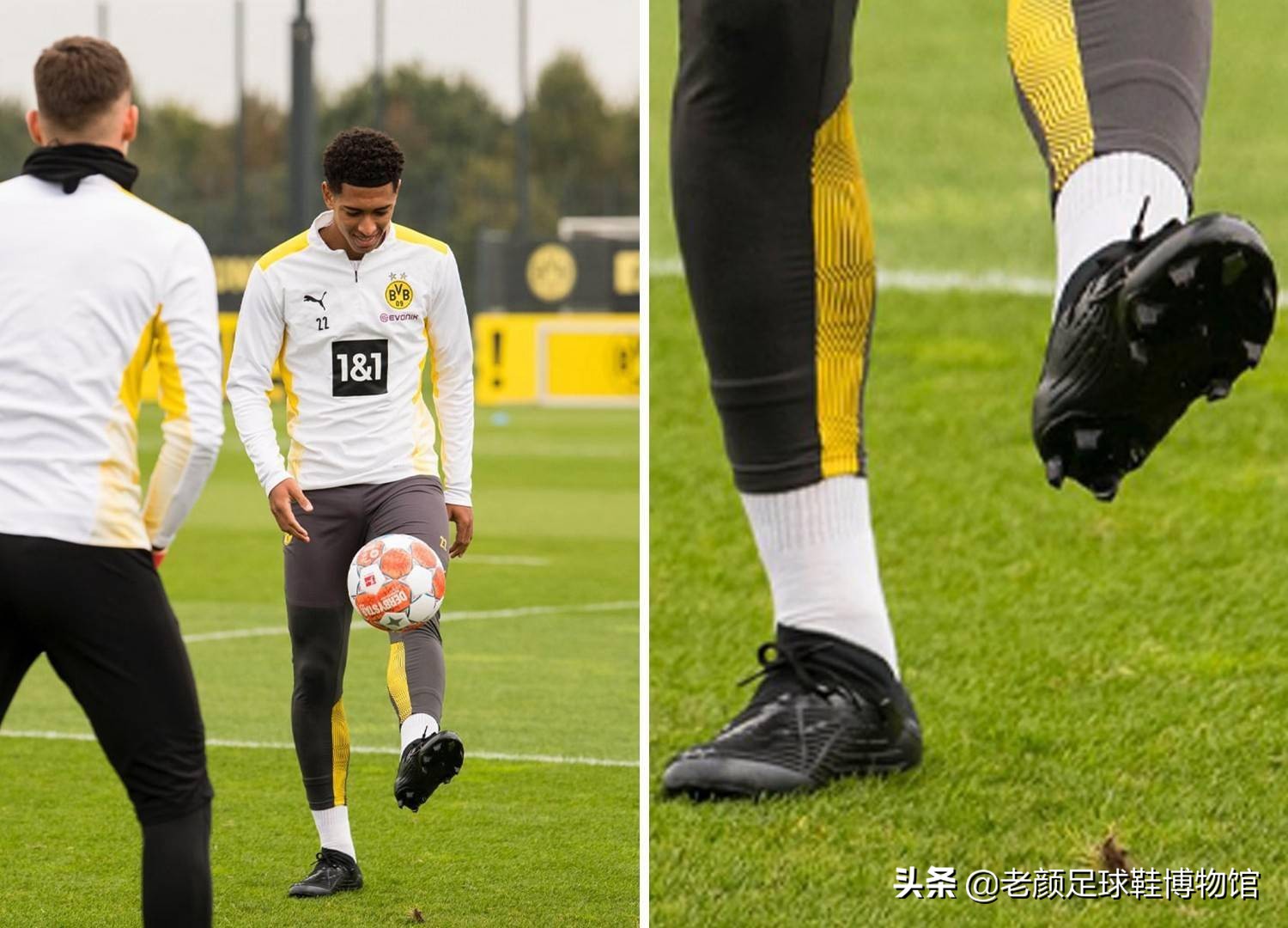 新兴运动项 新兴运动项