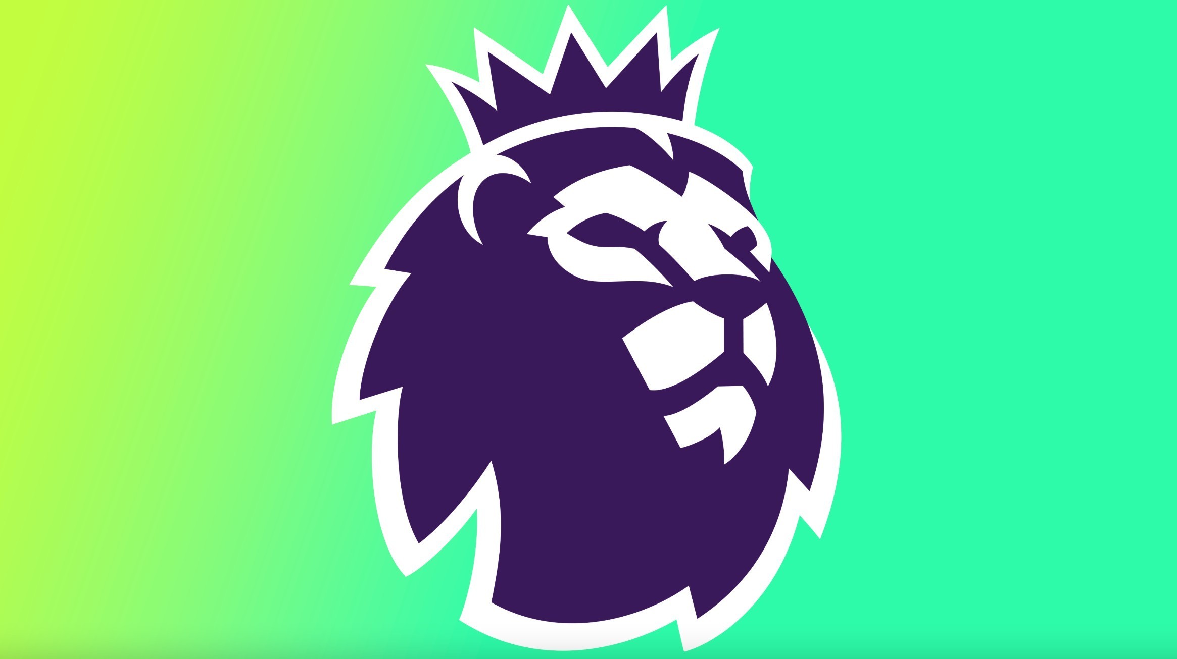 大而表现不 大而表现不