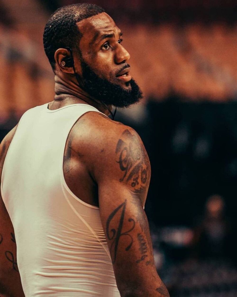 姆伯莫承担 姆伯莫承担